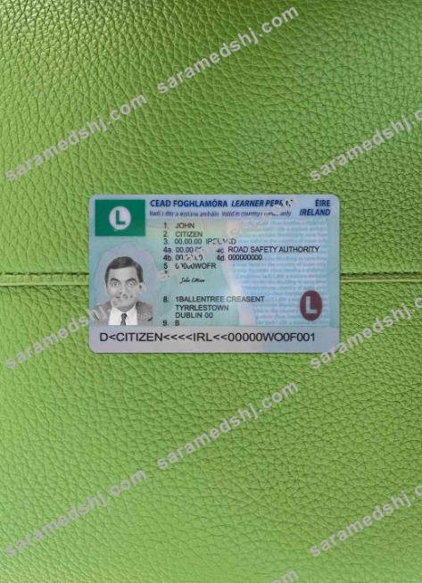 Ireland driving license (learner permit) 2022- present photolook FRONT